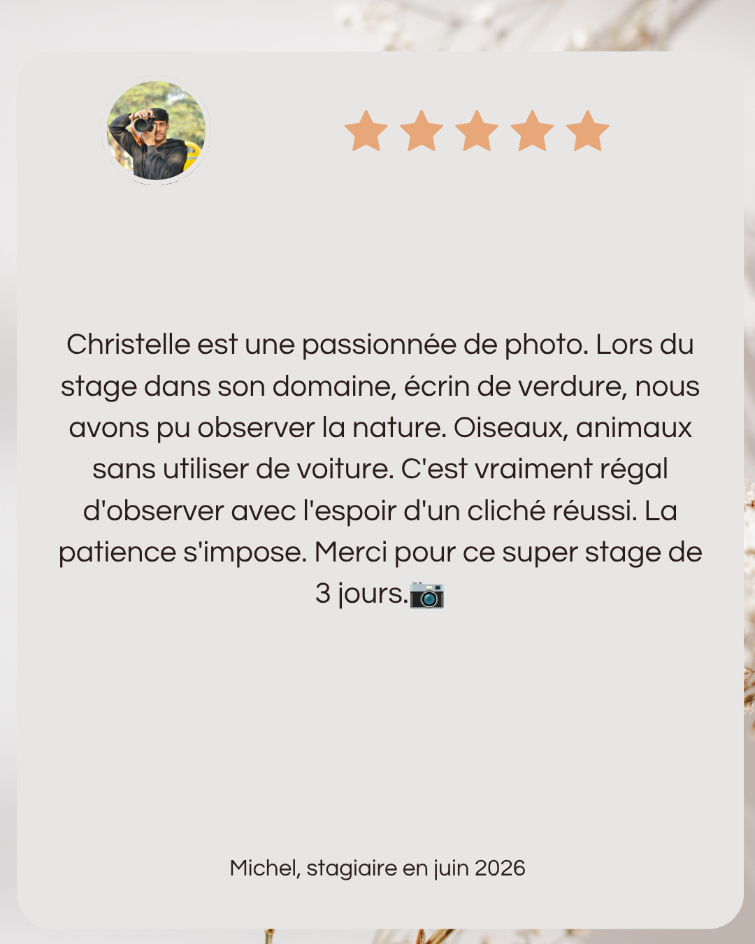 avis stage photo animaliere normandie